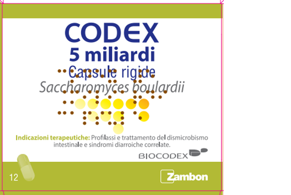 CODEX*12CPS 5MLD 250MG - Farmaciacarpediem.it