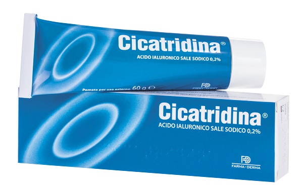 CICATRIDINA POMATA 60 G - Farmaciacarpediem.it