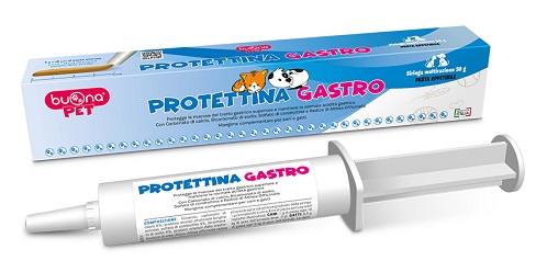 PROTETTINA GASTRO PASTA IN SIRINGA 30 G - Farmaciacarpediem.it